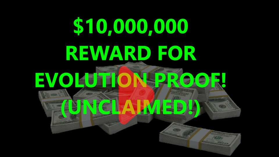 Reward Thumbnail